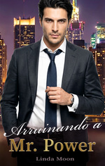 book cover - Linda Moon: Arruinando a Mr. Power